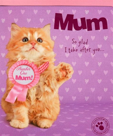 Happy mothers day daughter images. Cute Cat Best Mum Happy Mother's Day Card | Cards