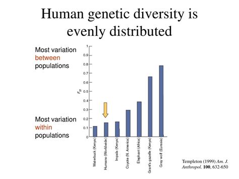 Ppt The Human Genome And Human Evolution Powerpoint Presentation