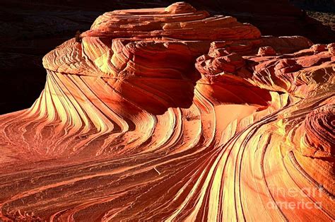 Arizona Desert Glow Photograph By Adam Jewell