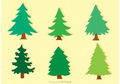 Cedar Trees Flat Pine Tree Vectors Cartoon