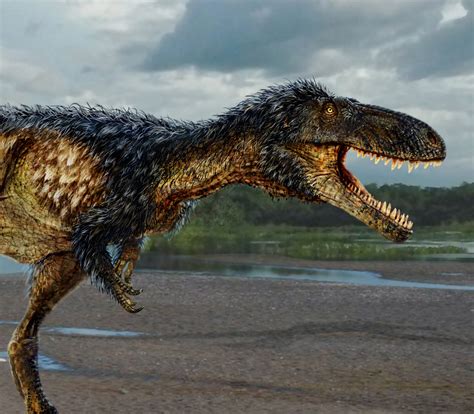 And rex translates to king in latin. Newly Discovered Dinosaur Reveals How T. rex Became King of the Cretaceous | Smithsonian Institution