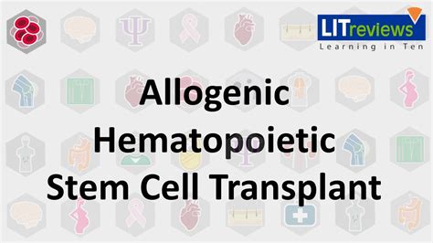 Allogeneic Hematopoietic Stem Cell Transplant Youtube