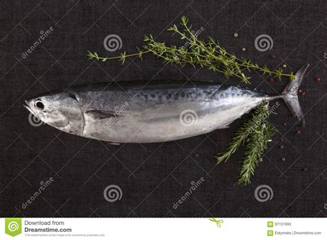 Fresh Tuna Fish From Above Stock Image Image Of Lunch Healthy 97151993