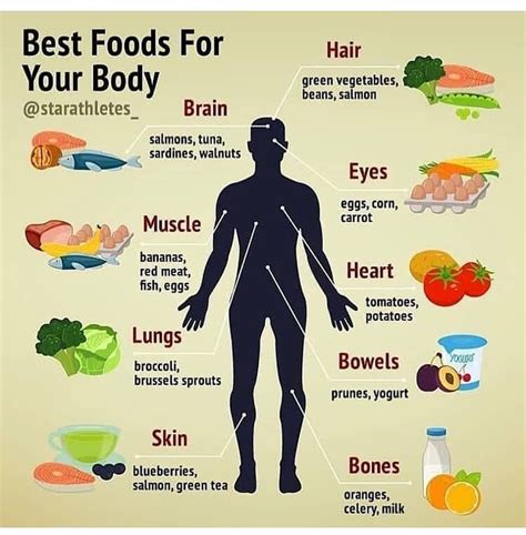 10 Reasons Why Your Body Need To Eat A Better Diet Otosection