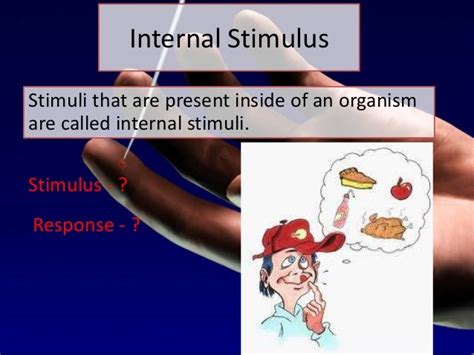 Stimuli Lesson 3
