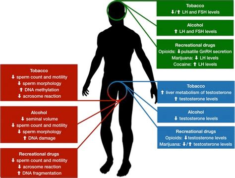 Smoke Alcohol And Drug Addiction And Male Fertility Abstract