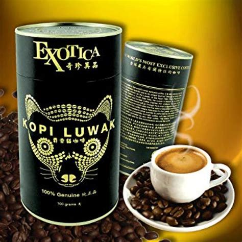 Cat Poop Coffee The Worlds Most Expensive Coffee Kopi Luwak Beanpick