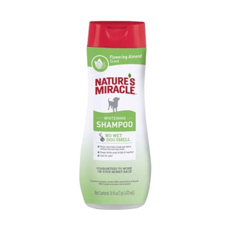 Nm Whitening Odor Control Shampoo Flowering Almond Gopetchile