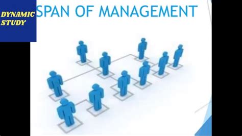 Span Of Management Span Of Control Youtube