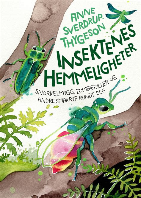 Sankthansorm er en billeart i lysbillefamilien lampyridae. Insektenes hemmeligheter by Kagge Forlag - Issuu