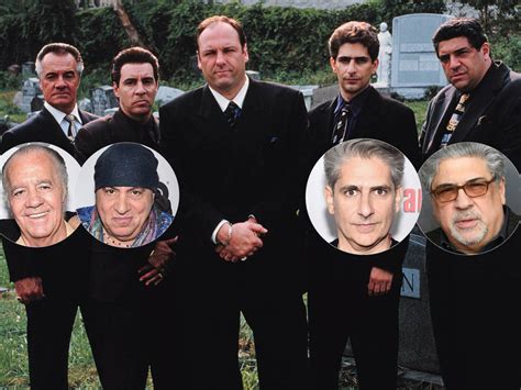 The sopranos is regarded as one of the best tv shows of all time, and became a huge part of pop fans might wonder where the stars of this famous show have gone. 'The Sopranos' 20th Anniversary: See Cast Then And Now ...