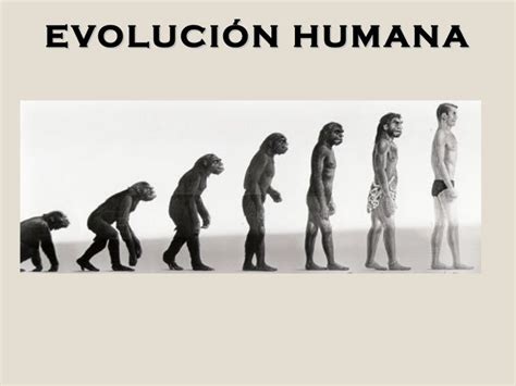 Origen Y Evolucion Del Ser Humano By David Issuu Kulturaupice