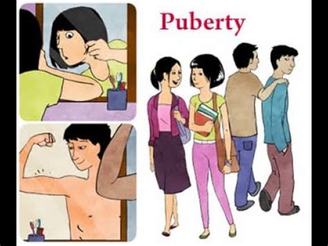 Grade Lesson Physical Changes During Puberty Stage Youtube