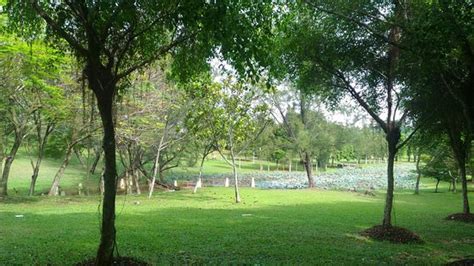 Malaysia, bandar utama, jalan ss 20/27, casa suites damansara intan. Ara Damansara Park (Petaling Jaya) - 2020 All You Need to ...