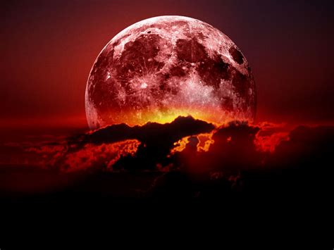 Red moon (2001 film) (italian luna rossa), a 2001 film. Red Moon | WeNeedFun