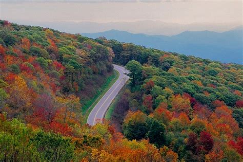 The 20 Best Places to Live in Tennessee | Scenic drive, Best places to