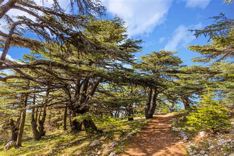 Hiking The Scenic Border To Border Lebanon Mountain Trail Lonely Planet