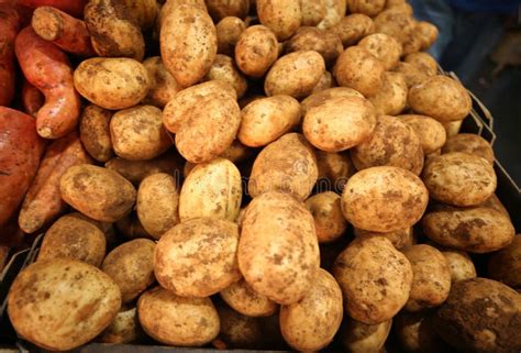 Brushed Potatoes At Australian Market Stock Image Image Of Golden