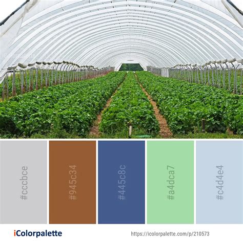 Color Palette Ideas From Agriculture Greenhouse Field Image Icolorpalette