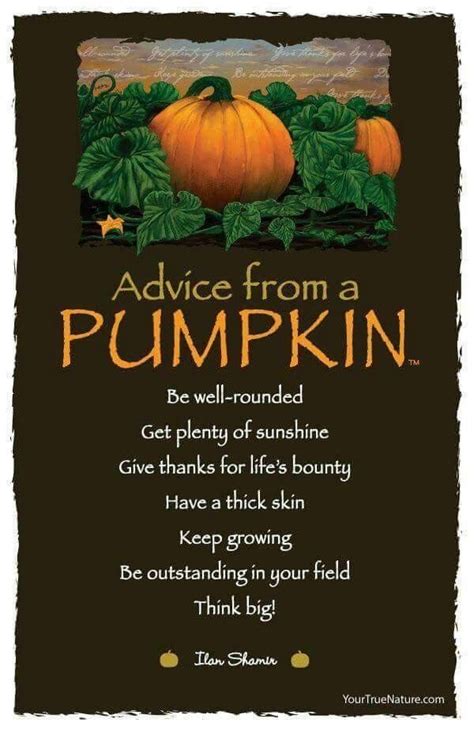 🍁autumn Dreamin🍁 Autumn Quotes Pumpkin Words