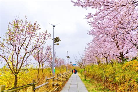 10 Best Outdoor Adventures In Seoul Escape For An Active Weekend In