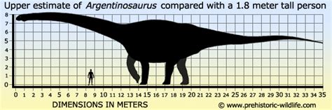 While the brachiosaurus fans put up a great. Jurassic World: 8 fatti che non sapevi sui dinosauri