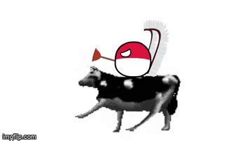 Find gifs with the latest and newest hashtags! Polish Cow (Polandball) - Imgflip