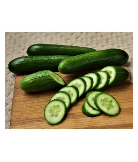 Cucumber Gherkin Vegetable Seeds N 25 Buy Cucumber Gherkin