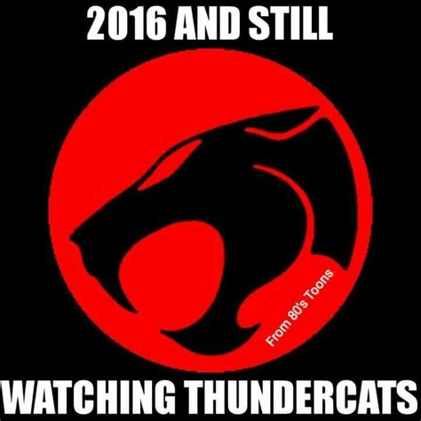 Pin by Nick Maxwell on Cartoon Thundercats | Thundercats, Thundercats cartoon, Retro cartoons