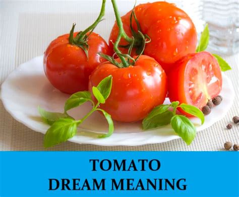Tomato Dream Meaning Top 6 Dreams About Tomatoes Dream Meaning Net