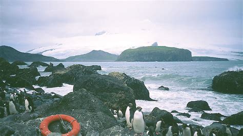 Marine Debris In The Southern Ocean — Magazine Issue 1 Autumn 2001