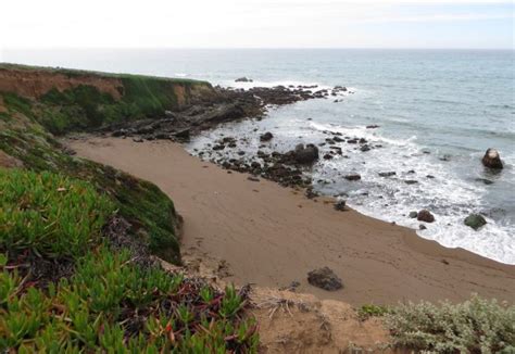 Fiscalini Ranch Preserve In Cambria Ca California Beaches