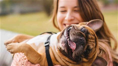 4 Amazing Ways Spending Time With Your Pets Can Ease Your Stress