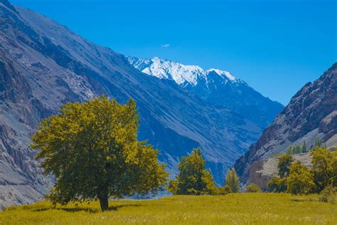 Landscape Himalaya Ladakh And Mountain 4k Hd Wallpaper