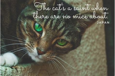 150 Cute Cat Quotes And Sayings Pethelpful