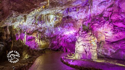 5 Incredible Cave Formations And How They Form