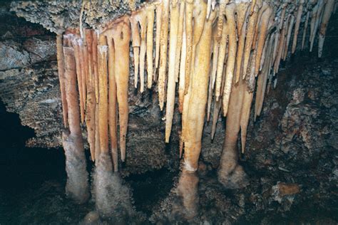 Palmers Cave Columns Photos Kristen Ankiewicz