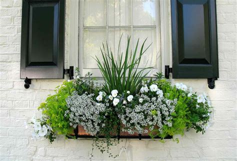 21 Window Box Ideas For Colorful Flowers