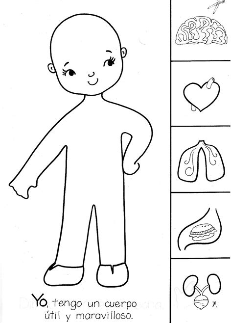 Dinamicas Para Niños De Preescolar Sobre El Cuerpo Humano Niños Relacionados