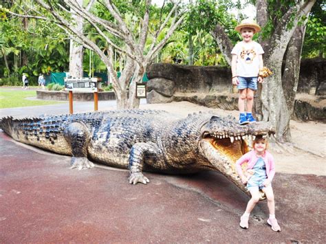 Australia Zoo Beerwah Queensland Review Busy City Kids