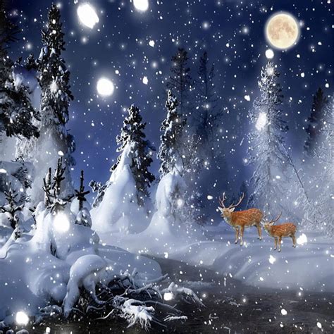 Winter Wonderland Photography Backdrops Blue Night Sky