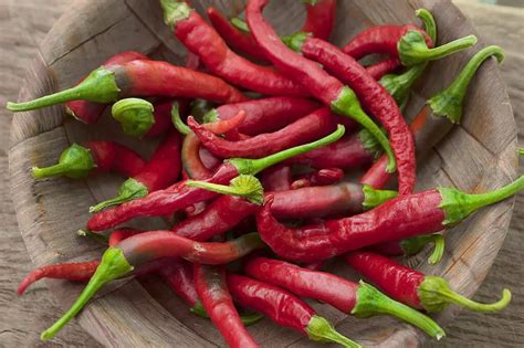 How To Dry Chili Peppers At Home For Storing Gardensofmine