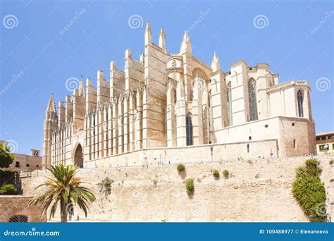 Catedral De Mallorca Auf Himmelhintergrund Palma De Mallorca Spanien