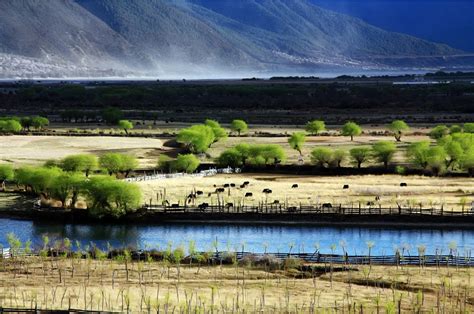 Picturesque Scenery Along Niyang River Tibet Travel Blog