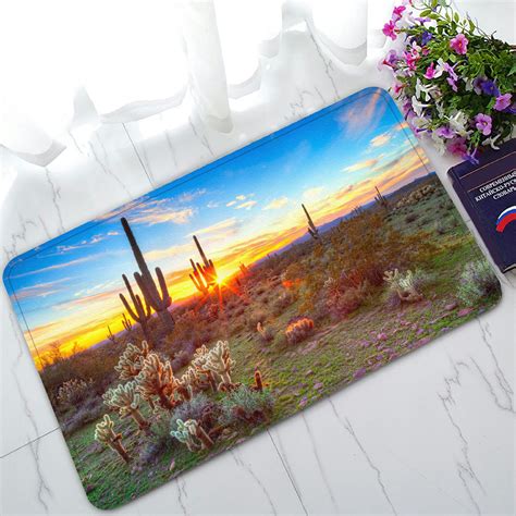 Phfzk Landscape Nature Scenery Doormat The Cactus And Sun In Sonoran