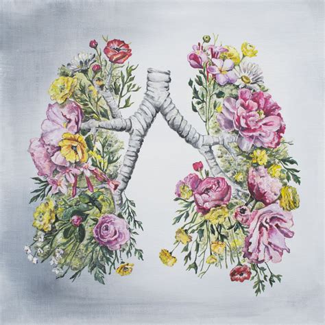 Located in the chest, these spongy organs work to provide oxygen according to the mayo clinic, lung cancer is the leading cause of cancer death in the united states. Floral Anatomy: Lungs | Lungs art, Medical art, Art