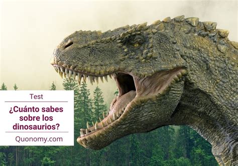 16 Preguntas Sobre Los Dinosaurios ¿cuánto Sabes Sobre Los Grandes