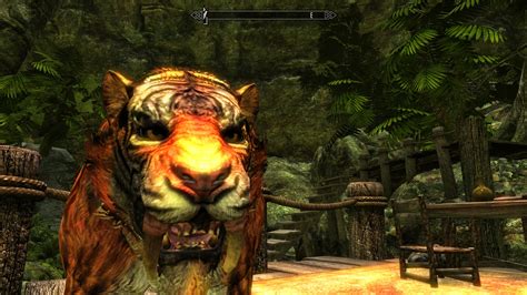 The Classic Skyrim Mod That Let Us Travel To The Home Of The Khajiit