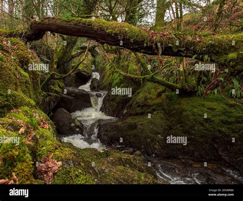 Waterfall Galloway Forest Park Scotland Stock Photo Alamy
