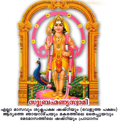 Download Lord Kartikeya Photos Hq Image Free Hq Png Image Freepngimg